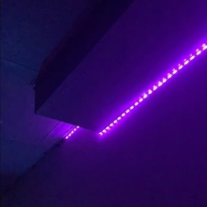 Meet your Posher, Kat